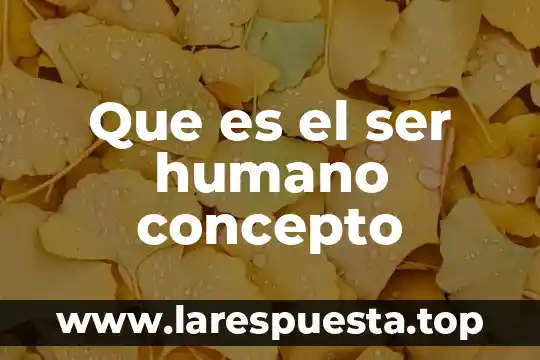 Que es el ser humano concepto