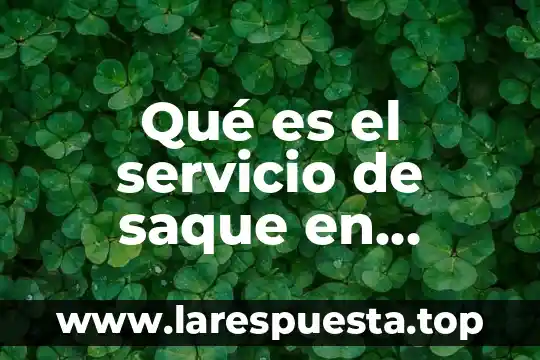 Que es servicio turistica 6 Qué es el servicio de saque en voleibol