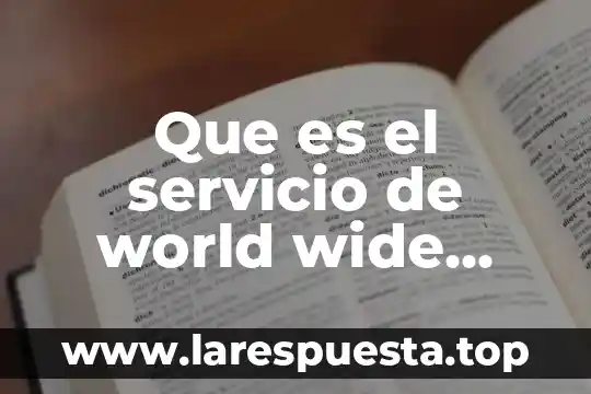 Que es ser un topo 4 Que es el servicio de world wide web