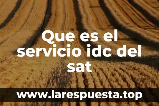 Que es el servicio idc del sat
