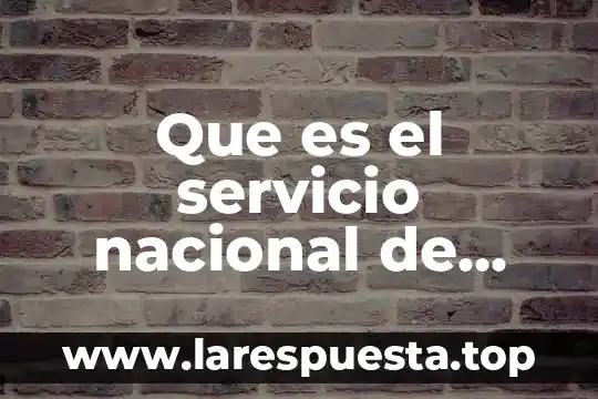 Que es el servicio nacional de migracion