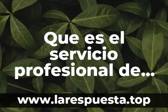 Que es el servicio profesional de la carrera