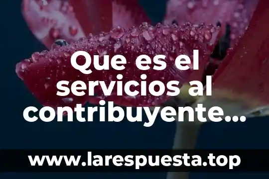 Que es el servicios al contribuyente sat