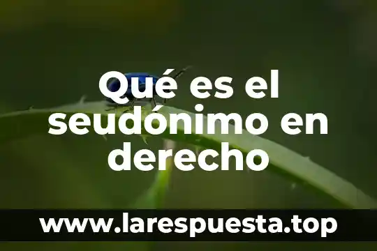 Qué es el seudónimo en derecho