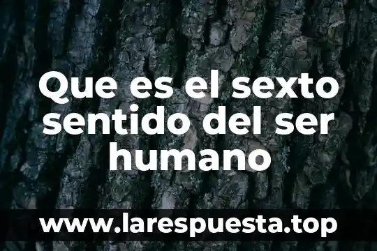 Que es el sexto sentido del ser humano