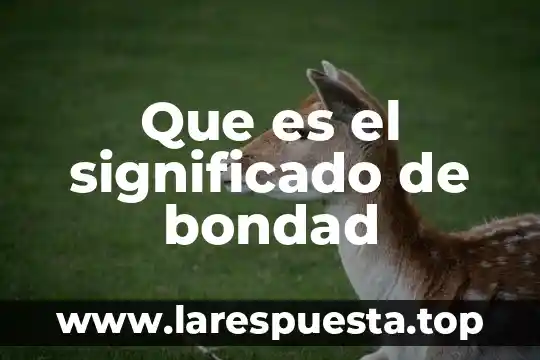 Que es el significado de bondad