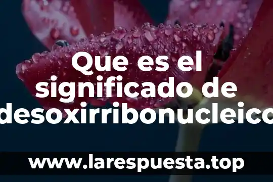 Que es el significado de desoxirribonucleico