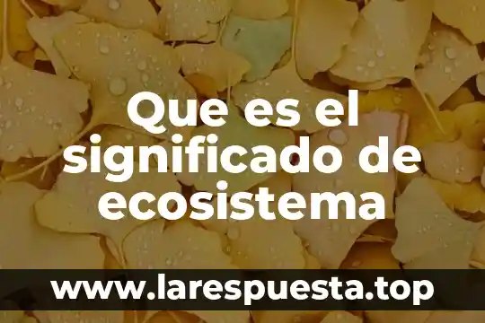 Que es el significado de ecosistema