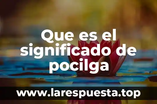 Que es megalomano significado 6 Que es el significado de pocilga