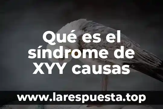 Qué es el síndrome del hombre rojo top 5 Qué es el síndrome de XYY causas