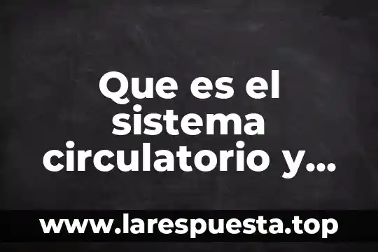Que es el sistema circulatorio y los dibujos