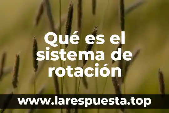 Qué es el sistema de rotación