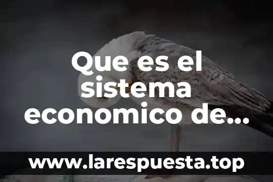 Que es o en que consiste el modelo economico neovidelario 8 Que es el sistema economico de produccion del capitalismo