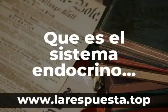 Que es el sistema endocrino psicologia y mente