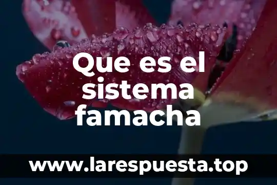 Que es sistema neurona 5 Que es el sistema famacha