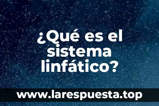 Sistema cirno que es 6 ¿Qué es el sistema linfático?