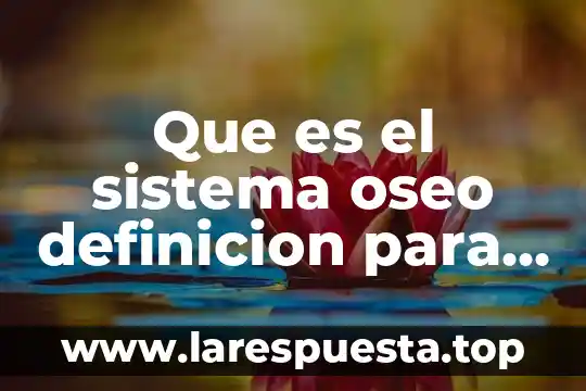 Que es el sistema oseo definicion para niños