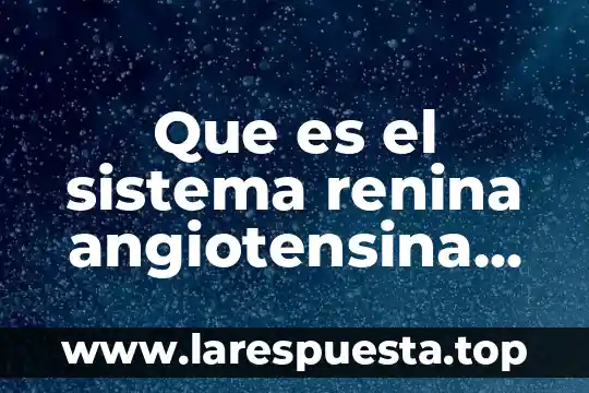 Que es el sistema renina angiotensina aldosterona
