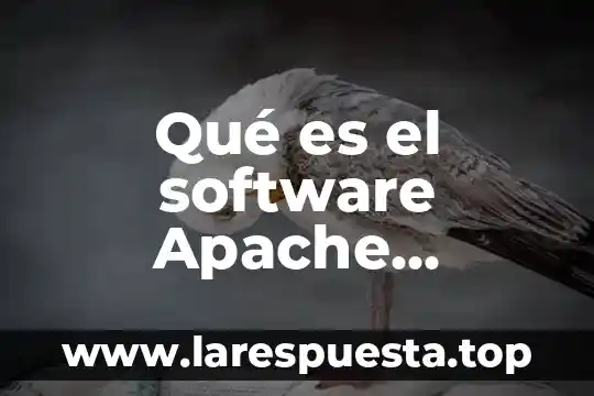 Apache que es informática 3 Qué es el software Apache GlassFish