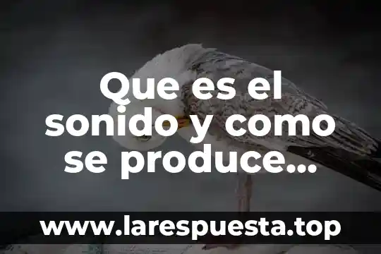 Que es la melatonina que produce el cuerpo 8 Que es el sonido y como se produce para niños