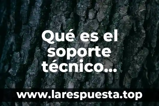 Qué es el soporte técnico definición