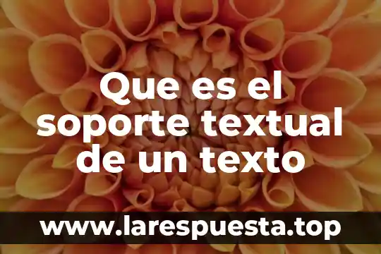Que es un patrimonio cultural cita textual 4 Que es el soporte textual de un texto