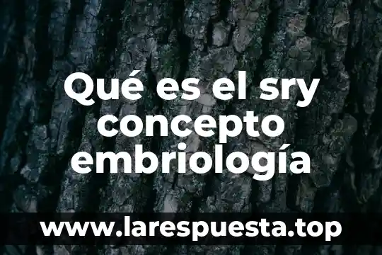 Qué es el sry concepto embriología