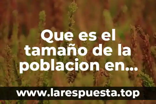 Que es el tamaño de la poblacion en estadistica