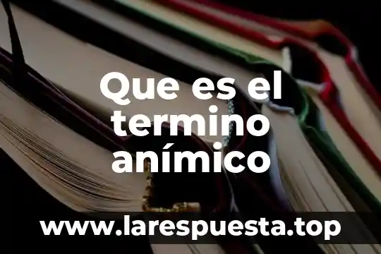 Que es el termino anímico