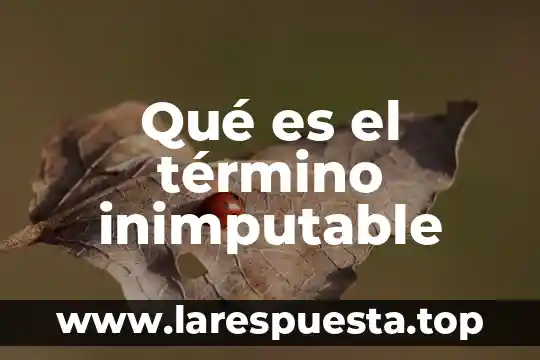 Qué es el término inimputable