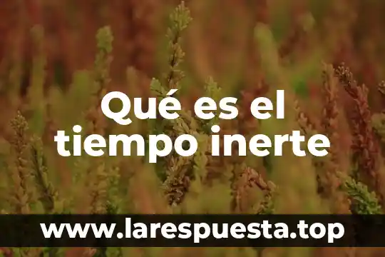 Qué es el tiempo inerte