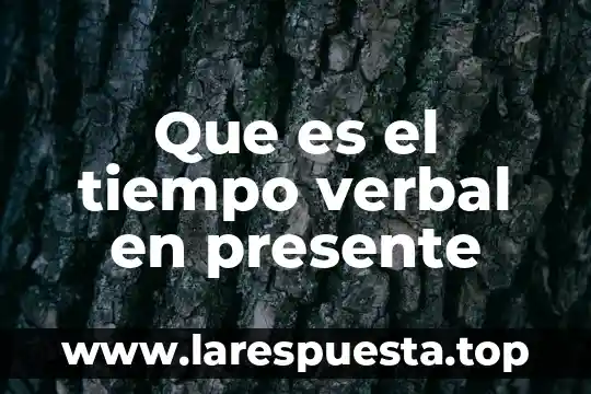 Qué es la lógica verbal 4 Que es el tiempo verbal en presente