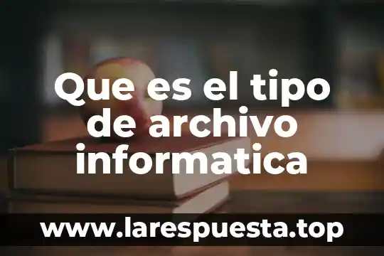 Que es el tipo de archivo informatica