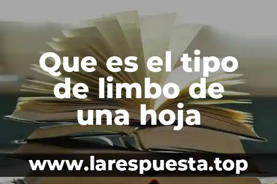 Que es una hoja de informacion 3 Que es el tipo de limbo de una hoja