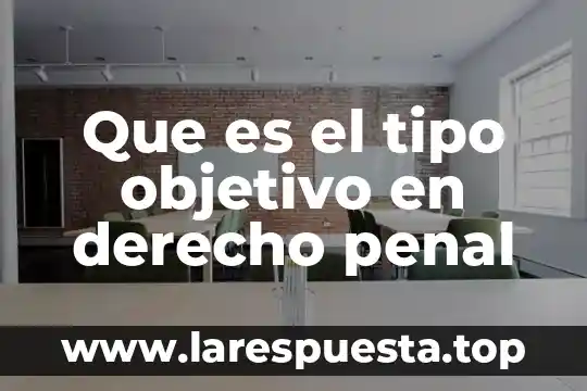 Que es el tipo objetivo en derecho penal