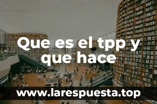 Que es lo que hace una bala 3 Que es el tpp y que hace