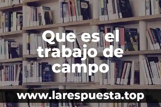 Que es el trabajo de campo