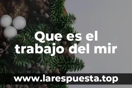 Que es el trabajo del mir