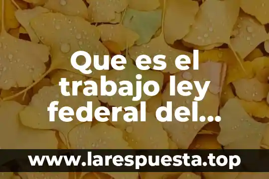 Que es faltar al trabajo 4 Que es el trabajo ley federal del trabajo