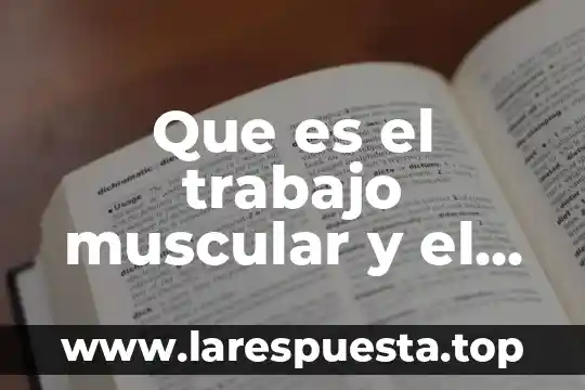 Que es el gasto energetico segun la unu 5 Que es el trabajo muscular y el gasto energetico