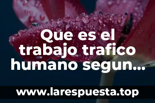 Que es el trabajo trafico humano segun la oit