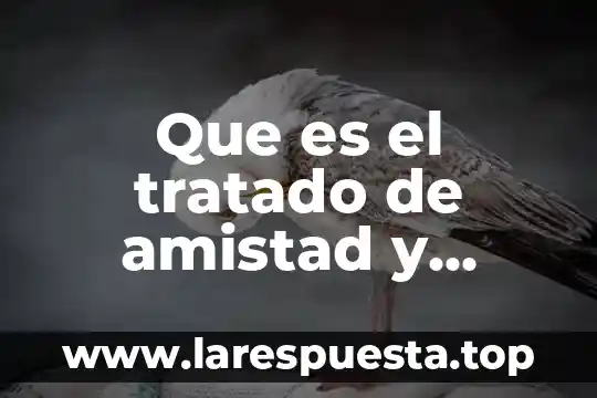 Que es negociacion de precios en un tratado comercial 3 Que es el tratado de amistad y comercio