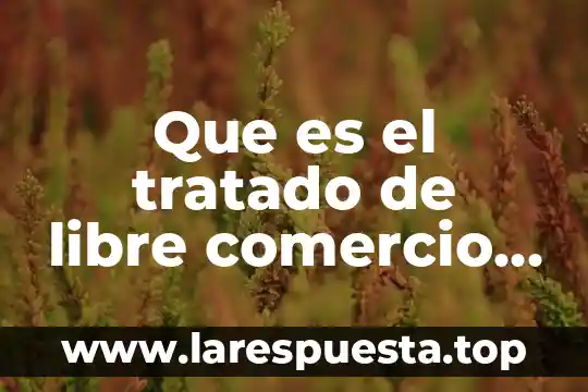 Que es negociacion de precios en un tratado comercial 4 Que es el tratado de libre comercio de norteamerica