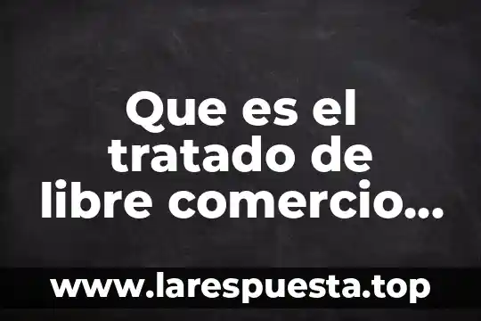Investigar que es un debate y quienes participan en el 6 Que es el tratado de libre comercio y quienes participan