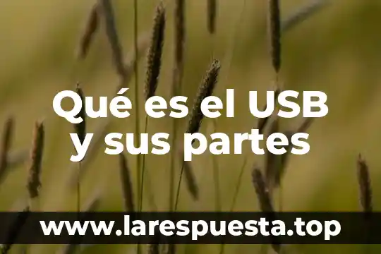 Qué es el USB y sus partes