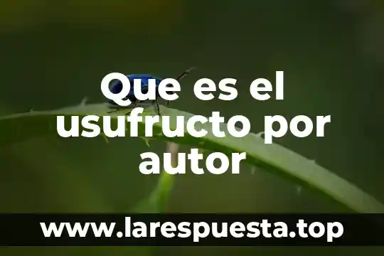 Que es la factura nombre del autor 6 Que es el usufructo por autor