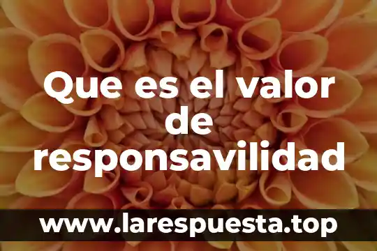 Que es la compara de media 5 Que es el valor de responsavilidad
