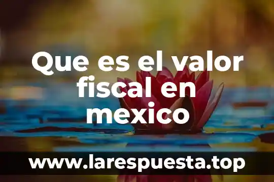 Qué es el bautizo en México 3 Que es el valor fiscal en mexico