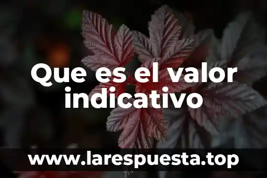 Que es el valor indicativo