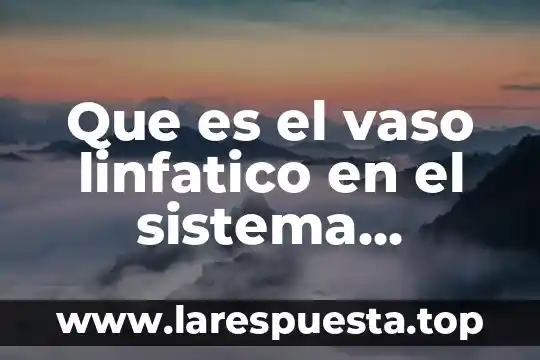Que es el vaso linfatico en el sistema inmunologico